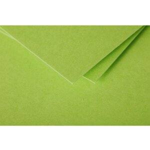 Pack 25 Karten Pollen, DL 106x213mm, 210g minze