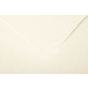 Clairefontaine Pollen Doppelkarten DL 106x213mm 210g...