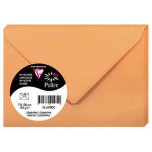 Umschlag Pollen 20 Stück clementine 75x100 mm 120g