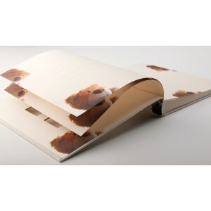 Walther Baby Album Classic Bear 28x30,5 cm 60 bílých stran