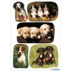 HERMA Sticker bezaubernde Hundewelpen verschiedene Rassen 3 Blatt 9x16 cm