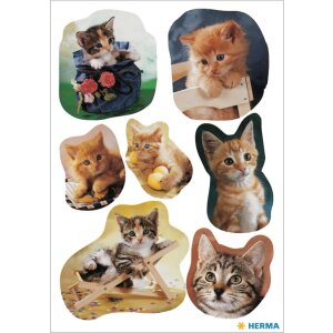 HERMA Sticker Verspielte Kätzchen Babykatzen-Motive...
