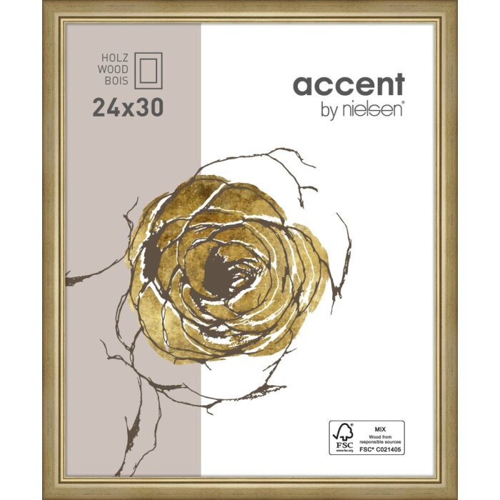 Dřevěný rám Ascot 18x24 cm zlatý