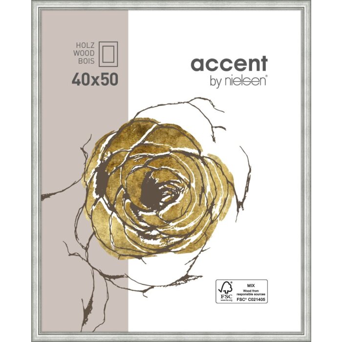 Dřevěný rám Ascot 40x50 cm stříbrný