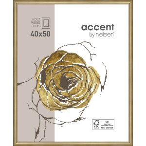 Dřevěný rám Ascot 40x50 cm zlatý