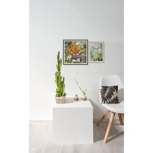 Hliníkový rám Accent 50x60 cm stříbrný lesklý