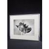 Nielsen hliníkový rám Accent 50x60 cm černý matný